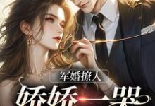 小说《军婚撩人，娇娇一哭，他疯魔了》章节免费阅读-侠客文学