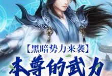 小说《黑暗势力来袭，本尊的武力依旧强大》章节免费阅读-侠客文学