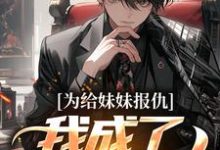 为给妹妹报仇，我成了黑道老大小说最新更新在哪里？免费在线看-侠客文学