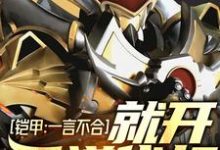 铠甲小说《铠甲:一言不合就开天道代打》在线阅读-侠客文学