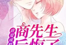 《虐爱成瘾：商先生后悔了》小说安荔商拙言章节章节免费在线阅读-侠客文学