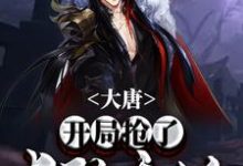 大唐：开局抢了长孙无垢小说，大唐：开局抢了长孙无垢章节在线阅读-侠客文学