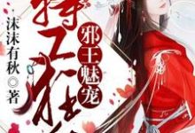 苏梦叶御轻寒小说叫什么(邪王魅宠,特工狂后免费阅读)-侠客文学