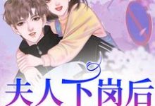 小说《夫人下岗后，霸总追麻了！》章节免费阅读-侠客文学