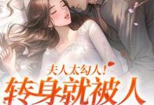 求夫人太勾人！转身就被人给拱了小说免费资源-侠客文学