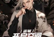 完结版《盗笔：开启空间，我带主角团起飞》章节阅读-侠客文学