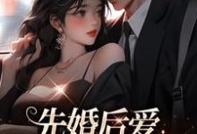 《先婚后爱，总裁乖乖躺好》小说章节列表免费试读，夜焱温小暖小说在线阅读-侠客文学