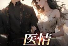小说《医情如火热》在线章节阅读-侠客文学