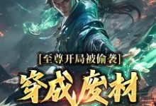 至尊开局被偷袭，穿成废材又如何？秦风姜洛神，至尊开局被偷袭，穿成废材又如何？在线无弹窗阅读-侠客文学