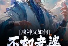 求成神又如何,不如老婆孩子热炕头小说免费资源-侠客文学