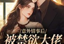 在线寻找意外情事后，被禁欲大佬缠上了小说的无删减版本-侠客文学