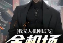 我无人机刚试飞，全机场就恐慌免费阅读，我无人机刚试飞，全机场就恐慌章节在线阅读-侠客文学