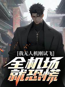 我无人机刚试飞，全机场就恐慌小说最新章节在哪里可以读到？