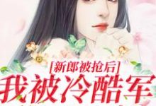 新郎被抢后,我被冷酷军爷日日宠小说最新更新在哪里?免费在线看-侠客文学