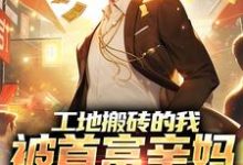 已完结小说《工地搬砖的我,被首富亲妈找回家》最新章节-侠客文学