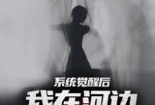 系统觉醒后,我在河边捞女尸(魏昆白灵)在线免费阅读-侠客文学