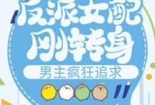 已完结小说《反派女配刚转身，男主疯狂追求》最新章节-侠客文学