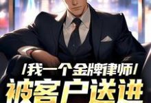 求推荐可以免费阅读我一个金牌律师，被客户送进监狱了小说的网站-侠客文学