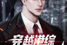 求穿越港综,我成了黑二代小说的全文免费阅读链接-侠客文学