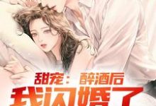 完结版《甜宠：醉酒后，我闪婚了千金总裁》章节阅读-侠客文学