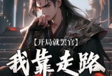 开局就罢官,我靠走路就能变强这本小说怎么样?免费在线阅读试试-侠客文学