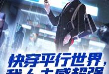 在线免费阅读快穿平行世界，我人夫感超强完整小说-侠客文学