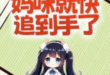 完结版《爹地加把劲,妈咪就快追到手了》免费阅读-侠客文学