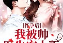 已完结小说《怀孕后，我被帅医生宠上天》章节免费阅读-侠客文学