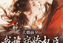 大婚前夕，我被病娇权臣强取豪夺了裴砚忱姜映晚小说大结局免费试读-侠客文学
