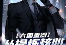 大国重器:从提炼核心技术开始小说全文哪里可以免费看?-侠客文学