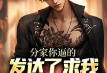 分家你逼的,发达了求我养老干什么小说的免费阅读版本在哪里可以找到?-侠客文学