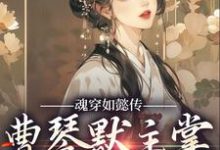 魂穿如懿传，曹琴默主掌后宫大权小说完结版章节免费阅读-侠客文学