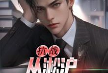 小说《抗战：从淞沪保卫战开始》章节免费阅读-侠客文学