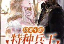 甜蜜军婚：特种兵王宠她入骨！洛芊允陆云峥小说在线章节免费阅读-侠客文学