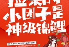 捡来的小团子是神级锦鲤小说完结版章节免费阅读-侠客文学