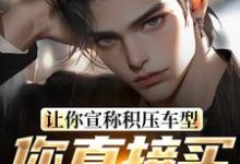 《让你宣称积压车型，你直接买脱销？》小说大结局免费试读 苏晨小说-侠客文学