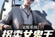 觉醒系统：拐卖女鬼王就变无敌小说全文哪里可以免费看？-侠客文学