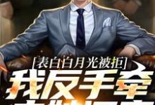 表白白月光被拒，我反手牵走她闺蜜小说最新章节在哪里可以读到？-侠客文学