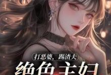 小说《打恶婆,踢渣夫,绝色主妇不怕事!》在线章节阅读-侠客文学