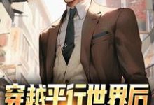 穿越平行世界后，我开始环球旅行萧江小说免费阅读-侠客文学