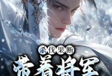 已完结小说《杀伐果断:带着将军抢皇位》章节免费阅读-侠客文学