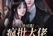 无处可逃！疯批大佬强制爱小说全文哪里可以免费看？-侠客文学