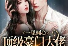 求一见倾心:顶级豪门大佬的俯身予宠小说免费资源-侠客文学