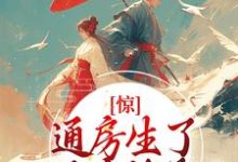 惊！通房生了世子府继承人小说无弹窗阅读的网站推荐-侠客文学