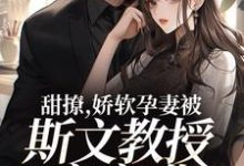 甜撩，娇软孕妻被斯文教授夜夜哄赵东宸江千竹在线章节免费阅读-侠客文学