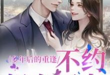 求多年后的重逢，不约，姐有男友小说免费资源-侠客文学