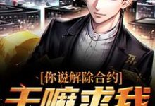 已完结小说《你说解除合约，干嘛求我回去》章节在线阅读-侠客文学