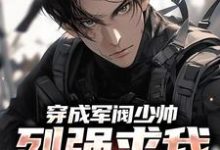 完结版《穿成军阀少帅，列强求我别扩军了》章节阅读-侠客文学