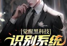 已完结小说《觉醒黑科技识别系统，鹰酱天塌了》章节在线阅读-侠客文学