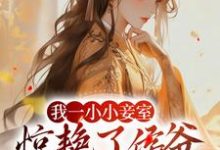 我一小小妾室，惊艳了侯爷很合理吧这本小说怎么样？免费在线阅读试试-侠客文学